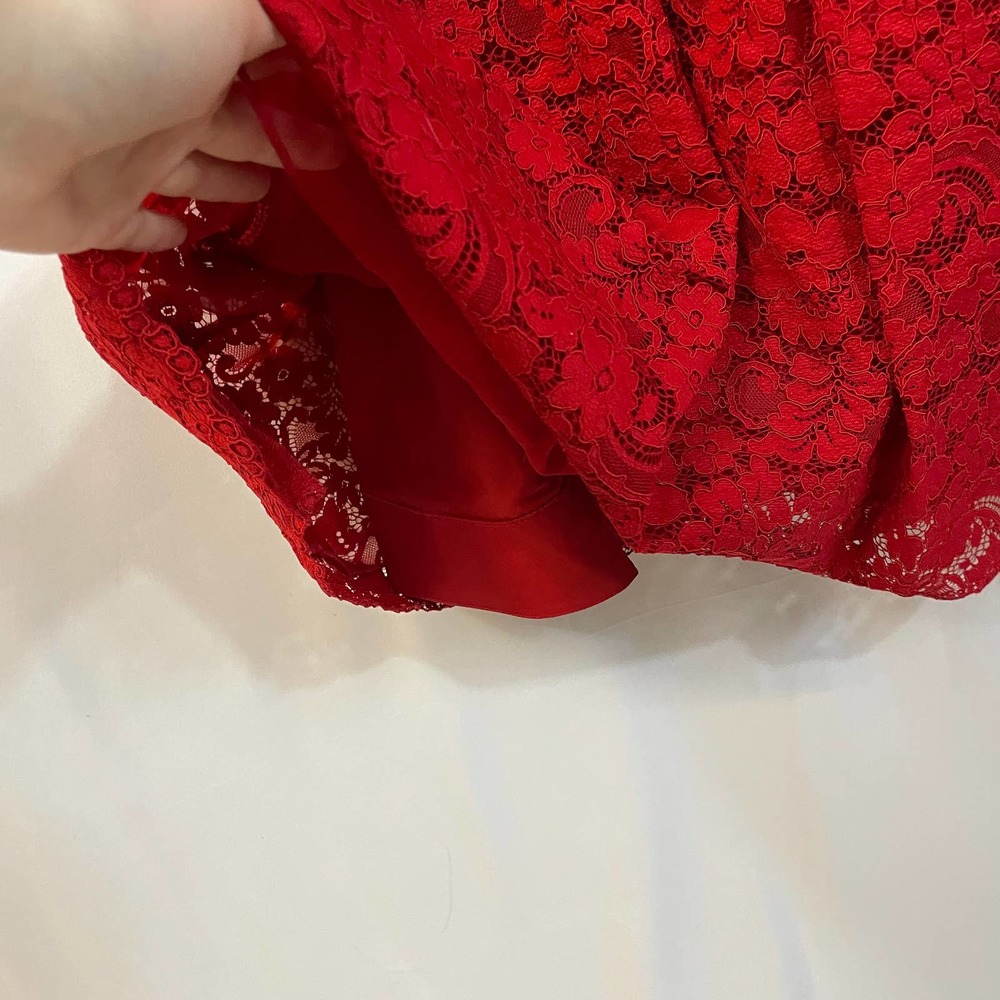 Alice + Olivia Kappa Lace Party Dress Deep V Exposed Zipper Deep Ruby 10 View 6